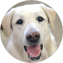 Ruth Bots profile picture